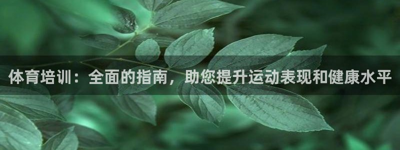 极悦平台app二维码怎么弄的：体育培训：全面的指南，