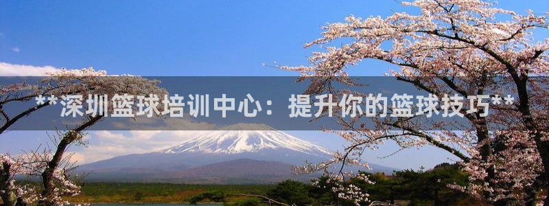 极悦平台官方网站入口链接下载：**深圳篮球培训中心：