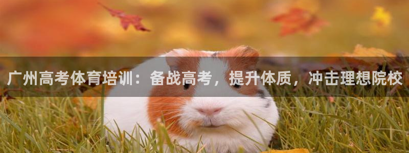 极悦平台官方网站下载：广州高考体育培训：备战高考，提