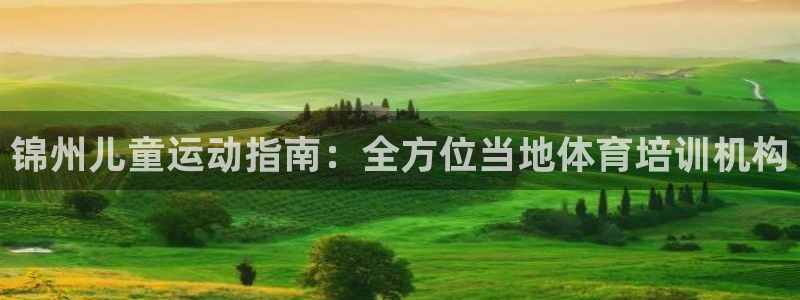极悦平台官方网站入口：锦州儿童运动指南：全方位当地体