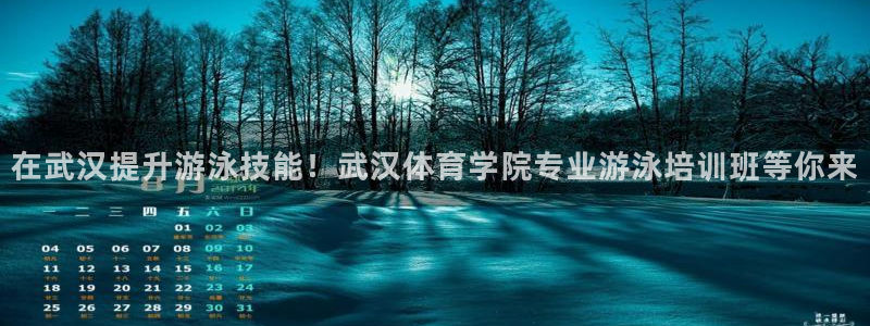 极悦平台是干嘛的公司：在武汉提升游泳技能！武汉体育学