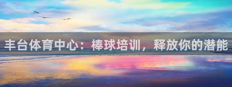 无锡极悦科技有限公司：丰台体育中心：棒球培训，释放你