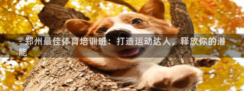 极悦平台客服的联系方式：- 郑州最佳体育培训班：打造