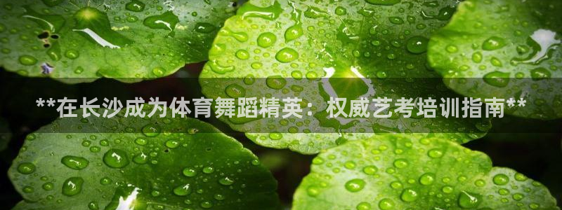极悦平台家7O777：**在长沙成为体育舞蹈精英：权