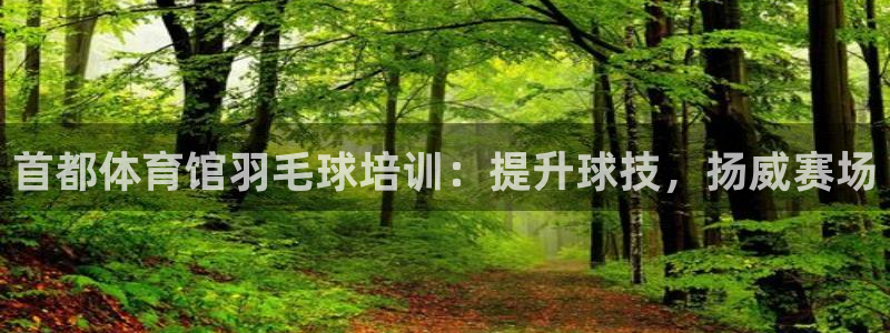 极悦平台官方网站是什么：首都体育馆羽毛球培训：提升球