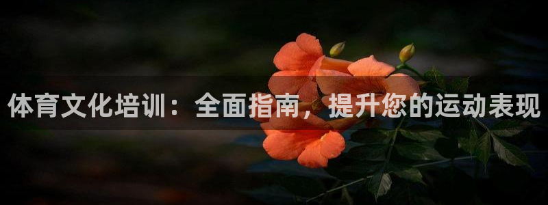极悦平台客服团队怎么样：体育文化培训：全面指南，提升