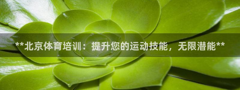 极悦娱乐公司最新招聘信息：**北京体育培训：提升您的