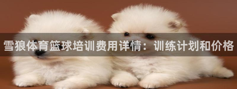 极悦平台官网登录入口下载：雪狼体育篮球培训费用详情：