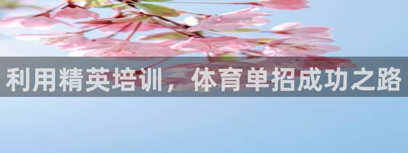 极悦娱乐创始人背景故事：利用精英培训，体育单招成功之