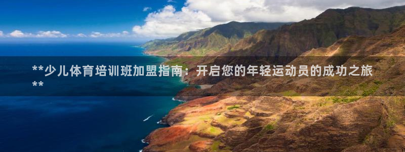 极悦娱乐代理多少钱一个月：**少儿体育培训班加盟指南