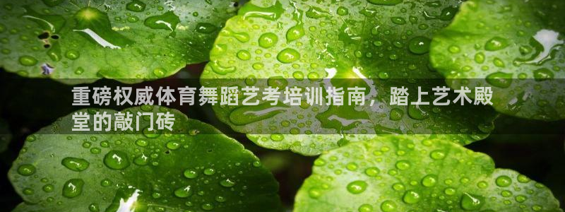 极悦娱乐挂机赚钱是真的吗吗：重磅权威体育舞蹈艺考培训