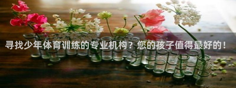 极悦平台平台注册方法与步骤视频：寻找少年体育训练的专