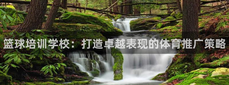 极悦平台官方网址查询：篮球培训学校：打造卓越表现的体
