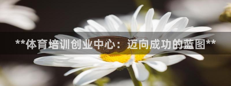 极悦平台代理怎么做的：**体育培训创业中心：迈向成功