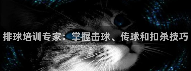 极悦平台是干嘛的软件：排球培训专家：掌握击球、传球和