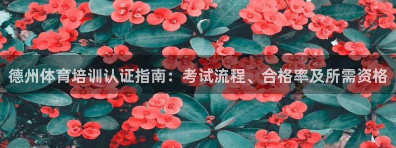 极悦官方网站入口网址是什么：德州体育培训认证指南：考