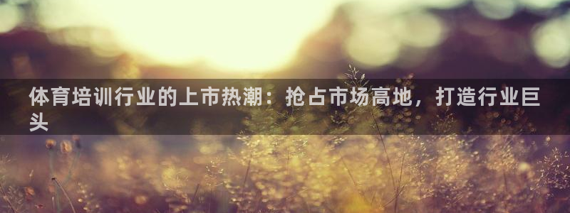 极悦平台代理怎么做：体育培训行业的上市热潮：抢占市场