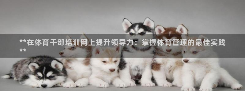 极悦娱乐的背景和历史背景是什么：**在体育干部培训网