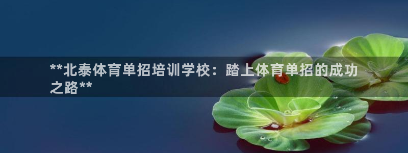 极悦平台平台登录入口：**北泰体育单招培训学校：踏上