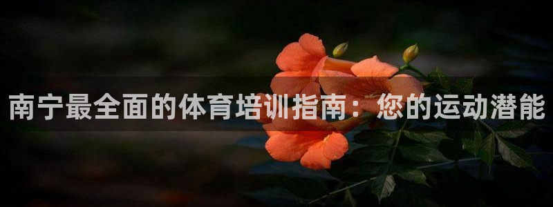 舒客极悦牙膏：南宁最全面的体育培训指南：您的运动潜能