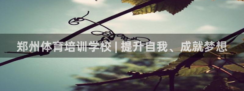 极悦平台注册登录入口：郑州体育培训学校 | 提升自我