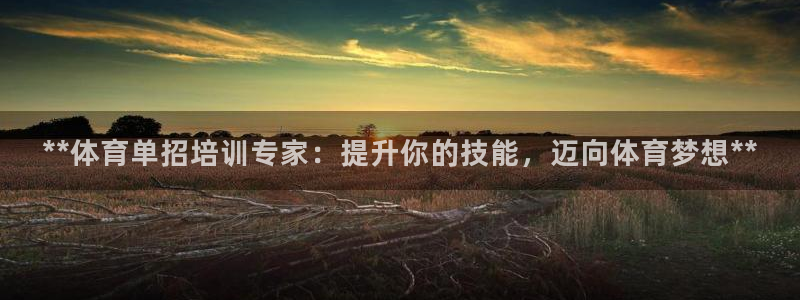 极悦平台代理怎么做：**体育单招培训专家：提升你的技