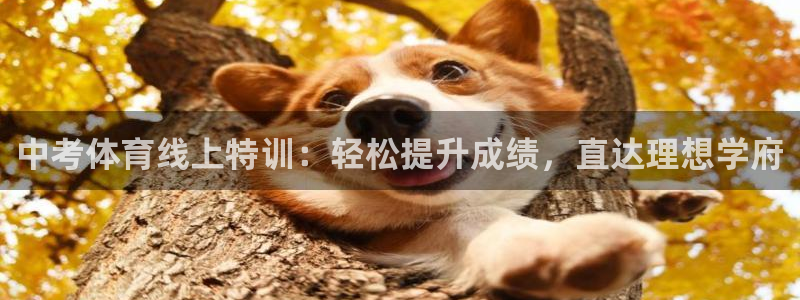 极悦平台注册和登录页面不一样：中考体育线上特训：轻松