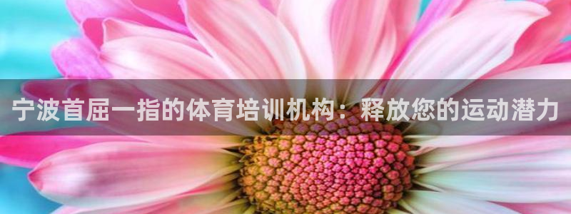 极悦娱乐官网app下载安装：宁波首屈一指的体育培训机