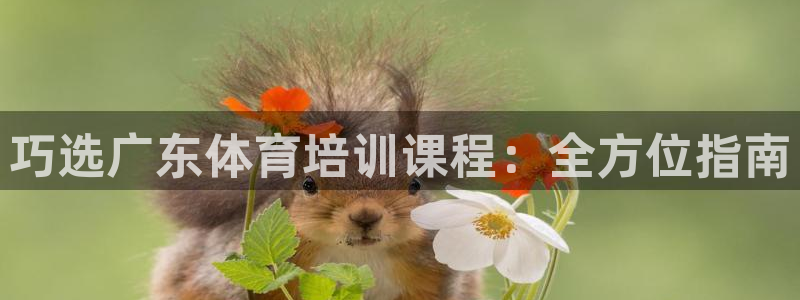 极悦平台用户评价：巧选广东体育培训课程：全方位指南