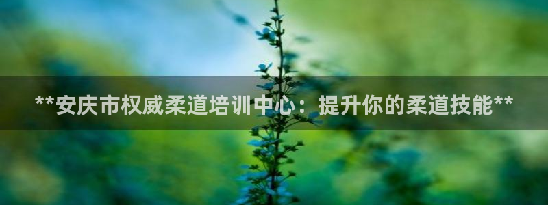 极悦平台使用注意事项是什么：**安庆市权威柔道培训中