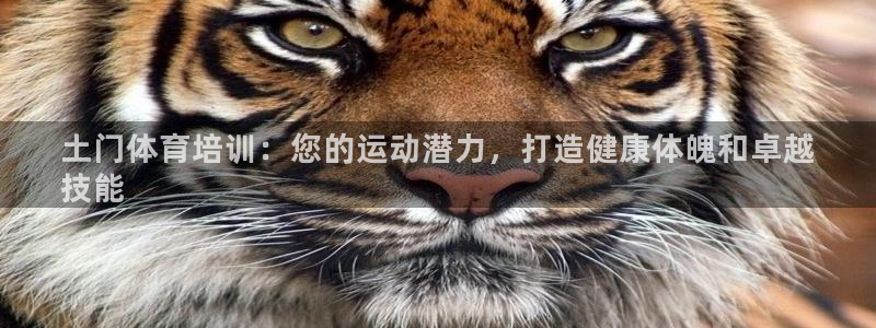 极悦平台登录最新版本更新内容在哪：土门体育培训：您的