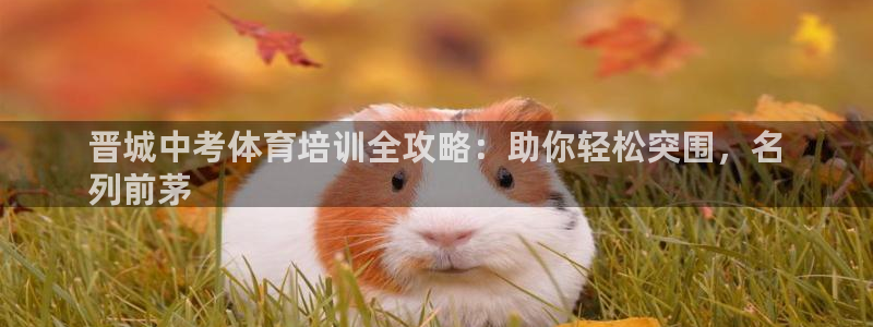 极悦平台注册申请流程详解图：晋城中考体育培训全攻略：