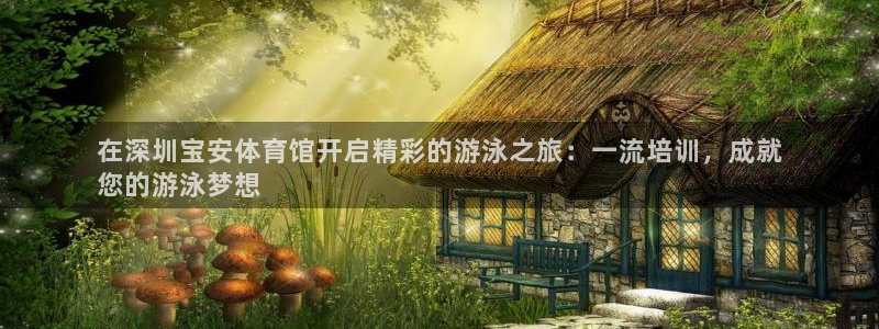 极悦平台app二维码怎么弄：在深圳宝安体育馆开启精彩