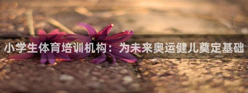 极悦平台官网入口下载：小学生体育培训机构：为未来奥运