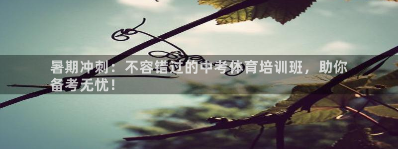 极悦平台代理怎么样可靠吗：暑期冲刺：不容错过的中考体