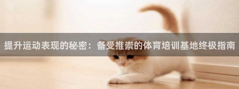 极悦平台代理电话：提升运动表现的秘密：备受推崇的体育