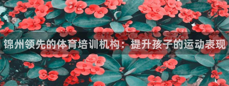 极悦娱乐官网客服联系方式：锦州领先的体育培训机构：提