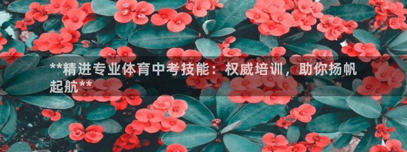 极悦官方网站app下载：**精进专业体育中考技能：权