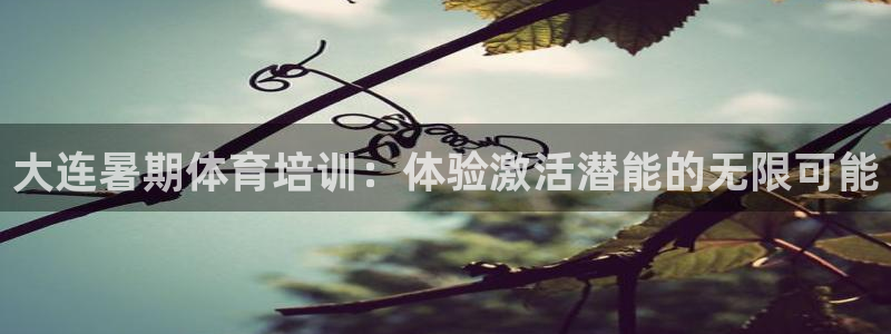 苏州极悦信息科技有限公司：大连暑期体育培训：体验激活