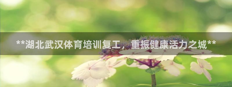 极悦平台注册官方网站下载安装：**湖北武汉体育培训复