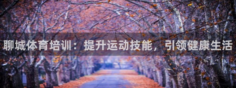 极悦娱乐代理怎么样：聊城体育培训：提升运动技能，引领