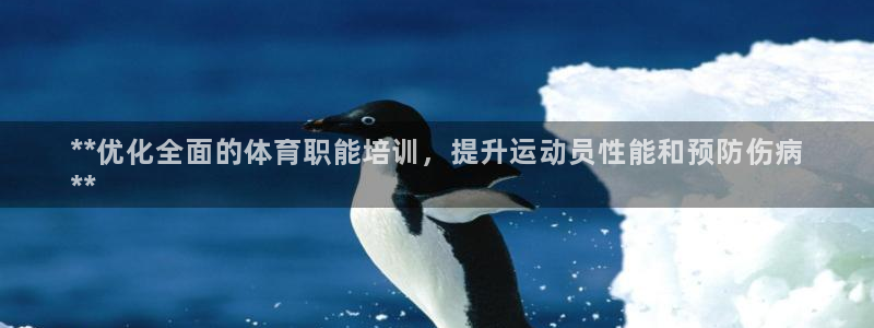 极悦平台注册流程图片：**优化全面的体育职能培训，提
