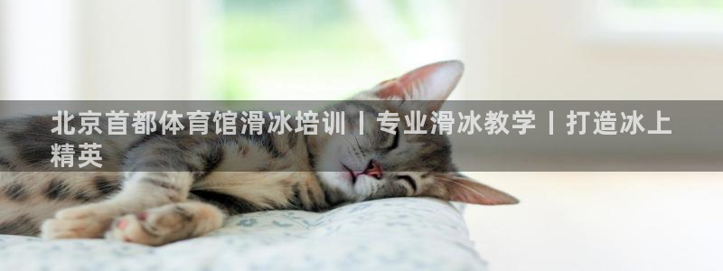 极悦娱乐会被骗吗知乎：北京首都体育馆滑冰培训丨专业滑