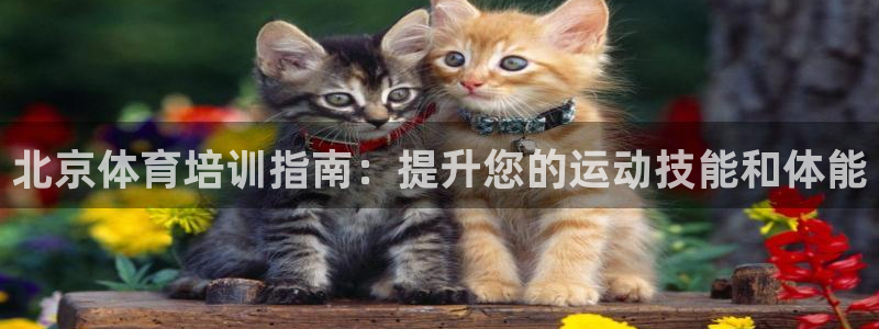 极悦平台代理电话：北京体育培训指南：提升您的运动技能