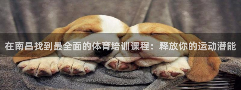 极悦平台代理怎么赚钱的：在南昌找到最全面的体育培训课