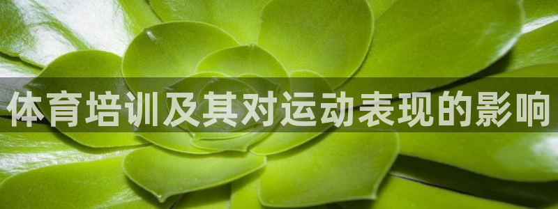 极悦平台注册的弊端及解决方法：体育培训及其对运动表现