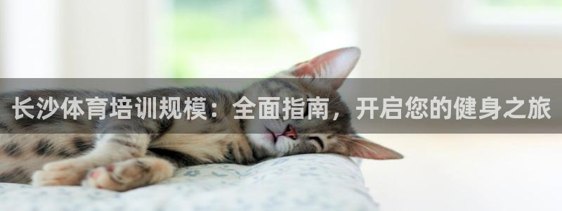 极悦平台注册失败如何解决：长沙体育培训规模：全面指南