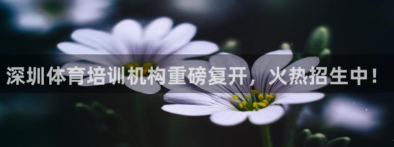 极悦平台有风险吗现在：深圳体育培训机构重磅复开，火热
