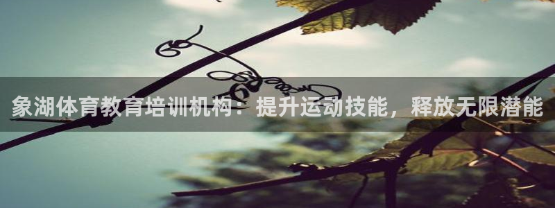 极悦平台注册失败如何解决呢：象湖体育教育培训机构：提