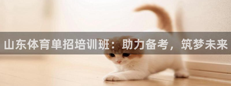 极悦娱乐旗下艺人名单：山东体育单招培训班：助力备考，